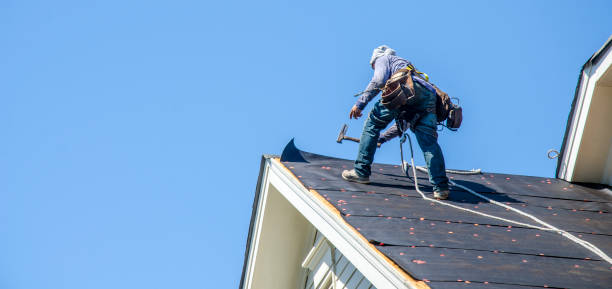 Roof Gutter Cleaning in North Wilkesboro, NC